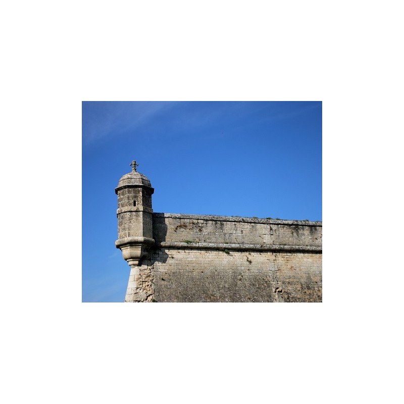 Clos de l'Echauguette 2018 en coffret bois - Vignoble de la Citadelle de Blaye