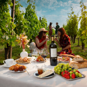 brunch and wine Bordeaux