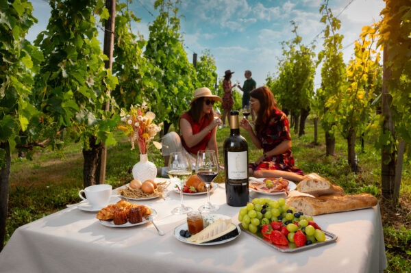 brunch and wine Bordeaux